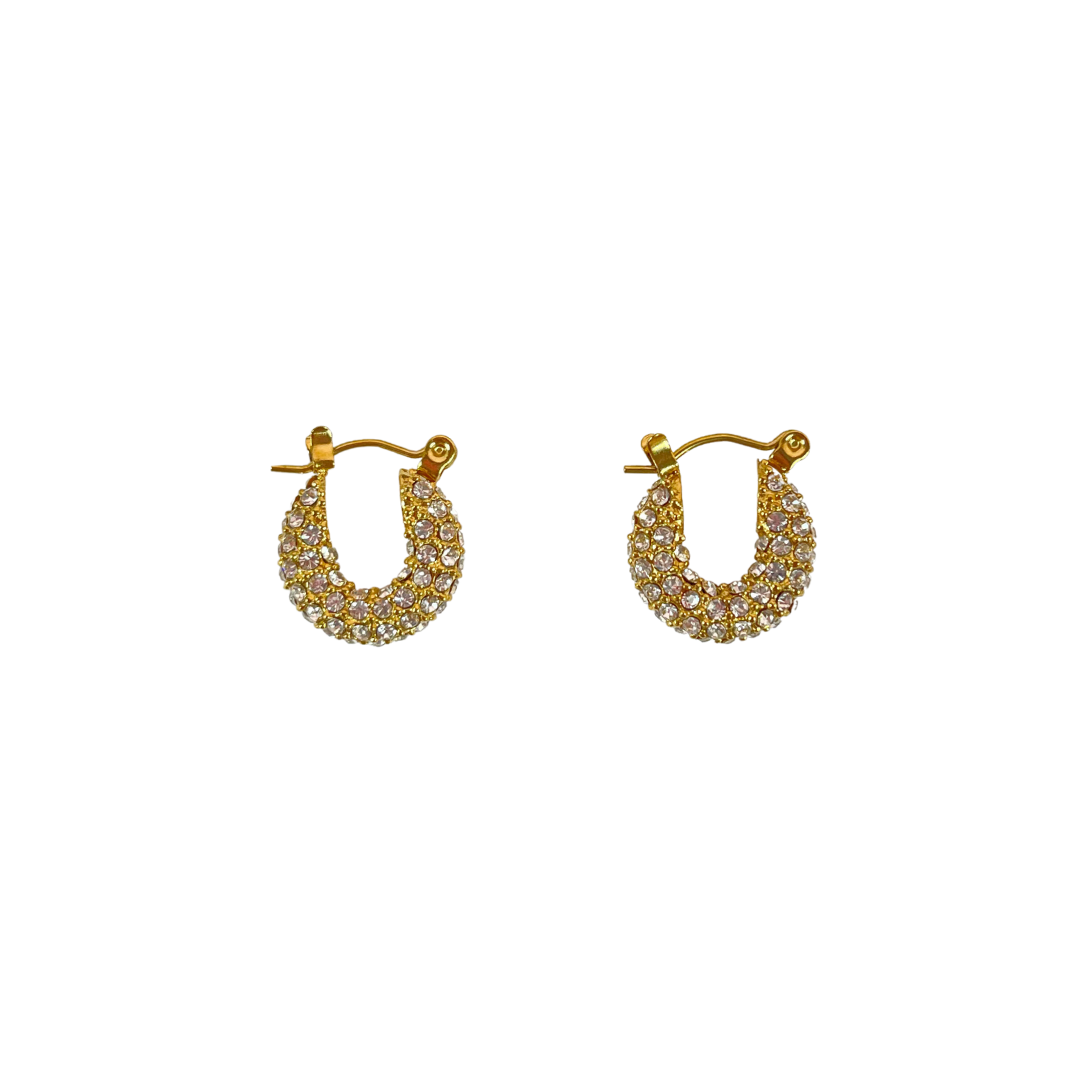 Paris Small Earrings